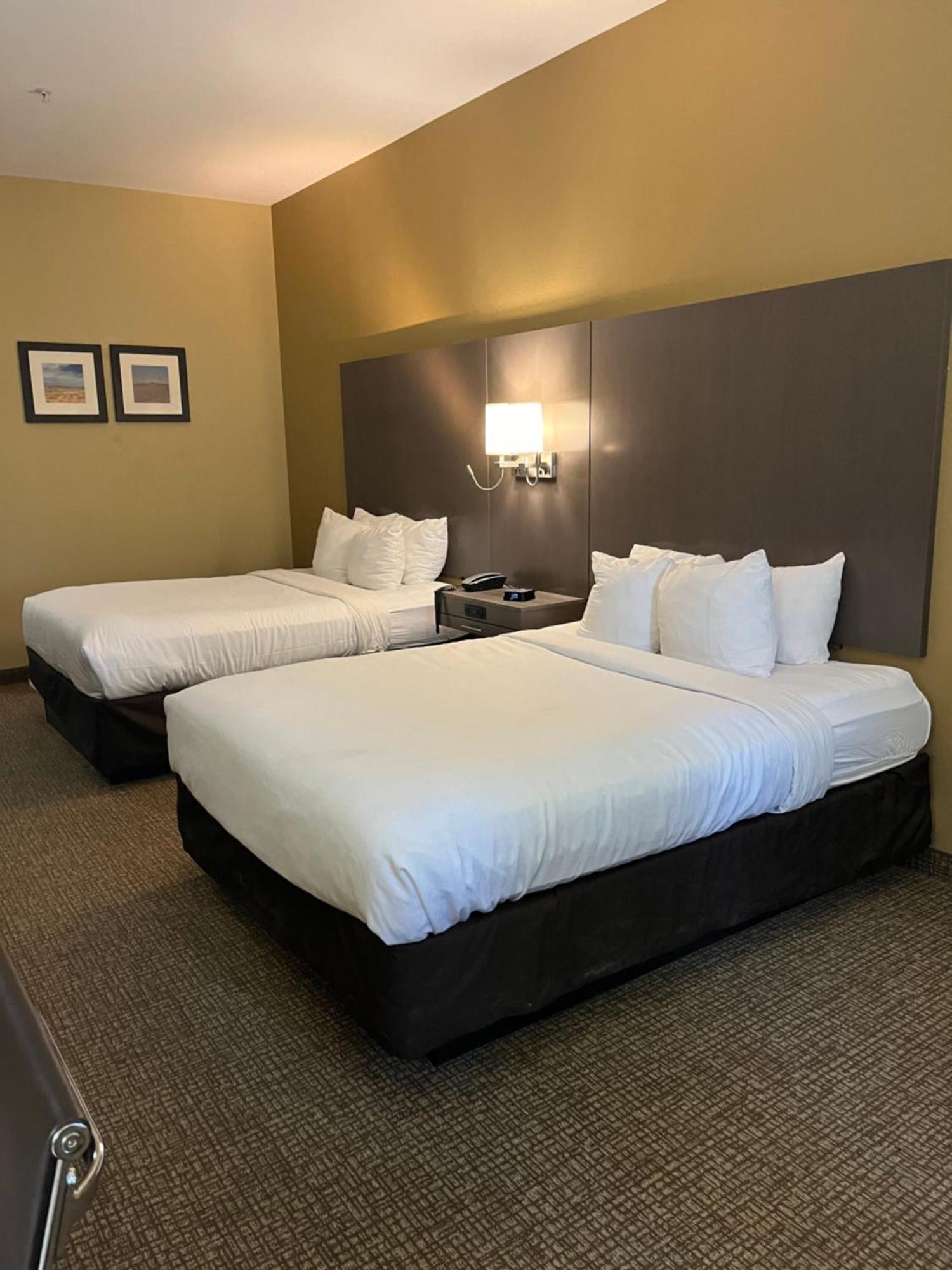 Comfort Inn & Suites Monahans I-20 Luaran gambar